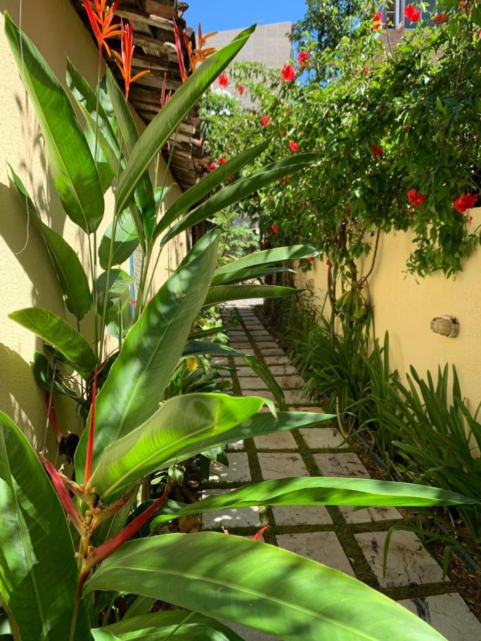 Chales Pulo Do Gato กาโนอาเกบราดา ภายนอก รูปภาพ